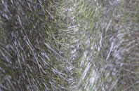 Upper Dunsley fibreglass roof work